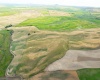 Bongarts, Oakesdale, Washington, ,Agricultural Land,For Sale,Bongarts,285765