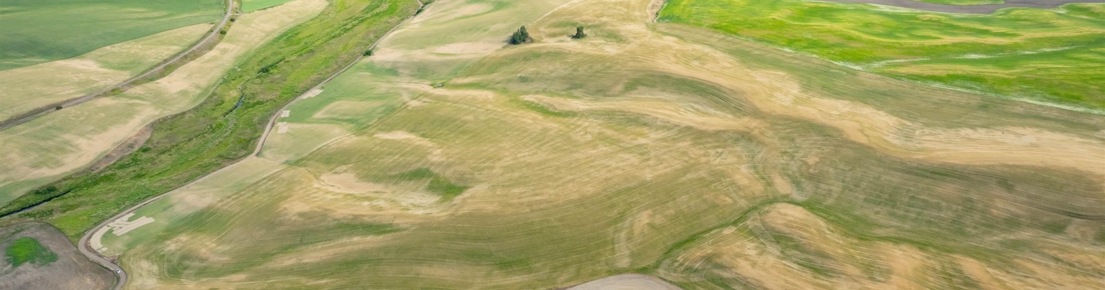 Bongarts, Oakesdale, Washington, ,Agricultural Land,For Sale,Bongarts,285765
