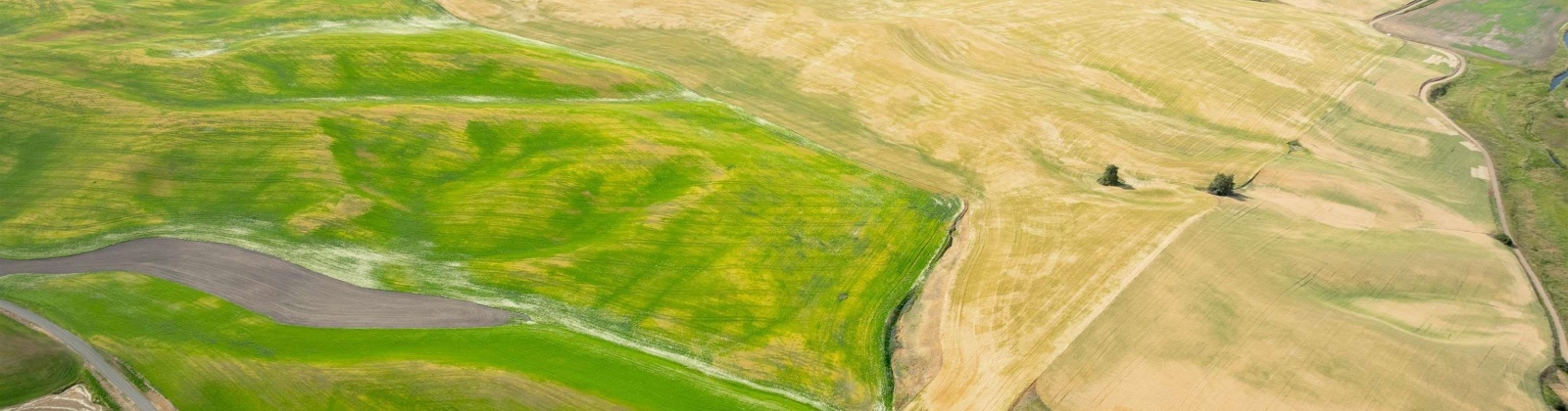 Bongarts, Oakesdale, Washington, ,Agricultural Land,For Sale,Bongarts,285765