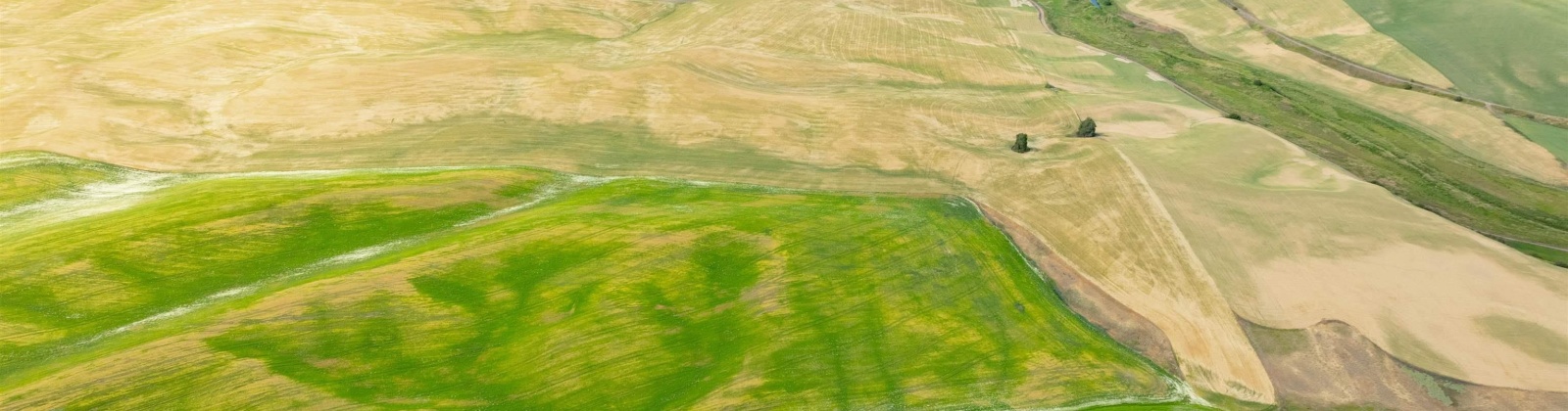 Bongarts, Oakesdale, Washington, ,Agricultural Land,For Sale,Bongarts,285765