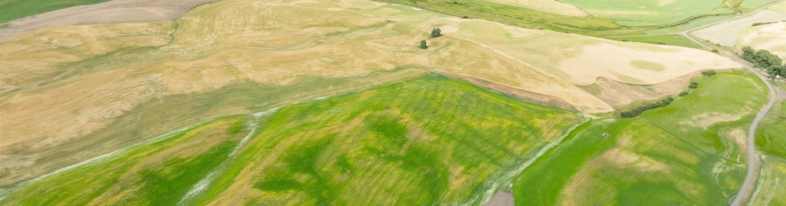 Bongarts, Oakesdale, Washington, ,Agricultural Land,For Sale,Bongarts,285765