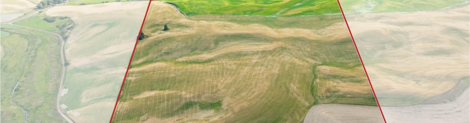 Bongarts, Oakesdale, Washington, ,Agricultural Land,For Sale,Bongarts,285765