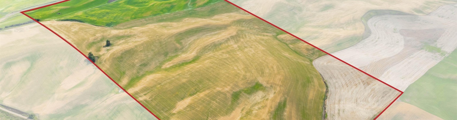 Bongarts, Oakesdale, Washington, ,Agricultural Land,For Sale,Bongarts,285765