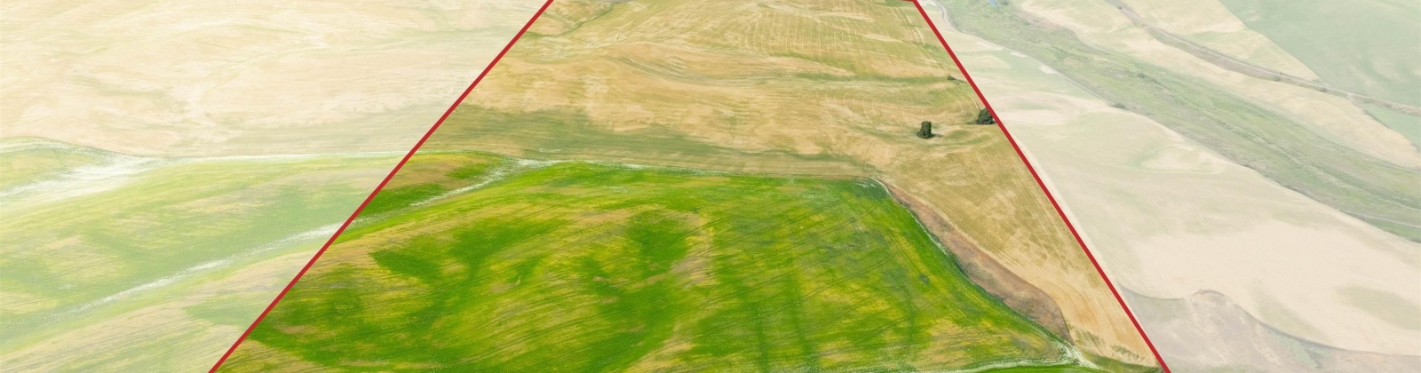 Bongarts, Oakesdale, Washington, ,Agricultural Land,For Sale,Bongarts,285765