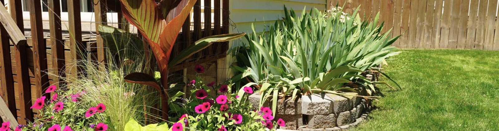 Clifford, Pullman, Washington 99163, 4 Bedrooms Bedrooms, 0 ,2 BathroomsBathrooms,Houses,For Sale,Clifford,0,285790