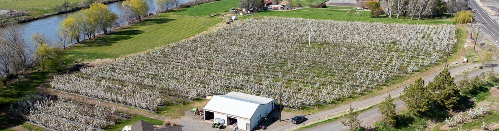 Demoss Rd, Benton City, Washington 99320, 0 , 0 ,0,Agricultural Land,For Sale,Demoss Rd,0,285838