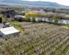 Demoss Rd, Benton City, Washington 99320, 0 , 0 ,0,Agricultural Land,For Sale,Demoss Rd,0,285838