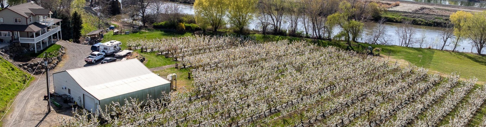 Demoss Rd, Benton City, Washington 99320, 0 , 0 ,0,Agricultural Land,For Sale,Demoss Rd,0,285838