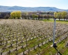 Demoss Rd, Benton City, Washington 99320, 0 , 0 ,0,Agricultural Land,For Sale,Demoss Rd,0,285838