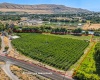 Demoss Rd, Benton City, Washington 99320, 0 , 0 ,0,Agricultural Land,For Sale,Demoss Rd,0,285838