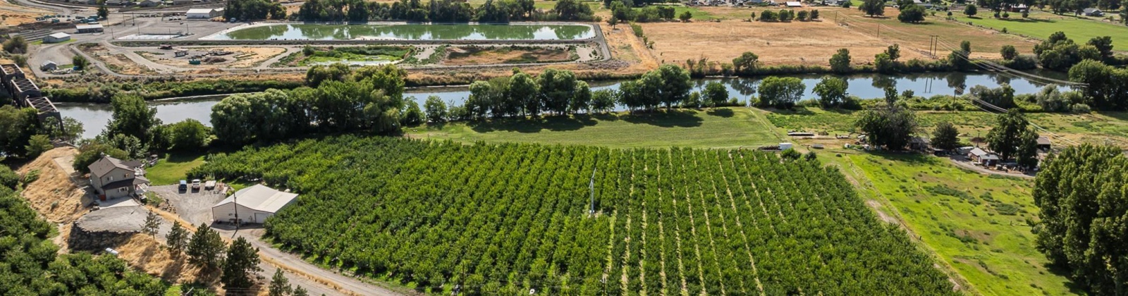 Demoss Rd, Benton City, Washington 99320, 0 , 0 ,0,Agricultural Land,For Sale,Demoss Rd,0,285838