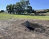 Byron Rd, Prosser, Washington 99350, 0 , 0 ,0,Land/lots,For Sale,Byron Rd,0,285876