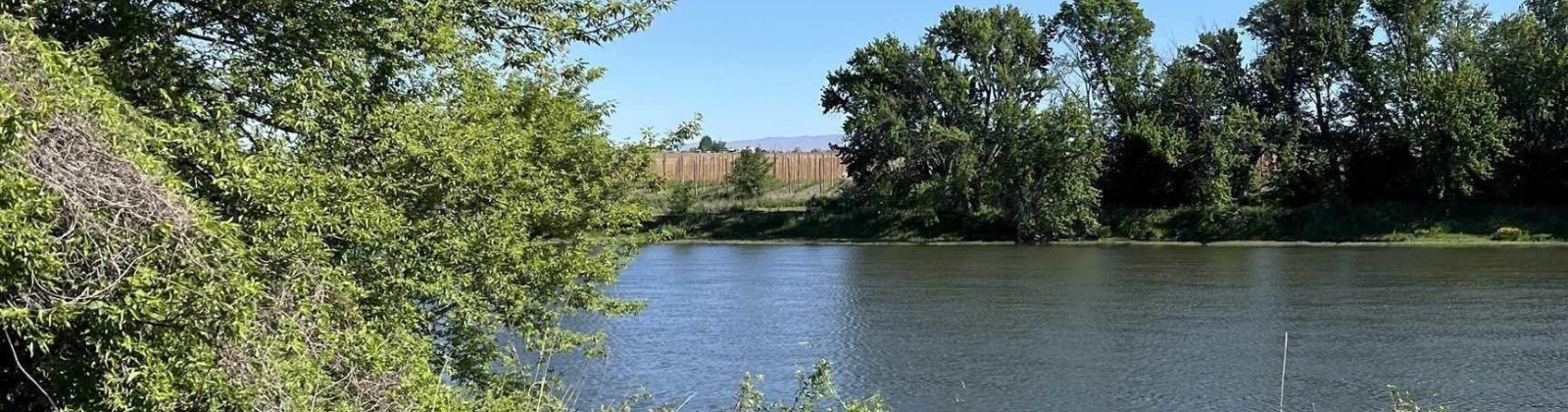 Byron Rd, Prosser, Washington 99350, 0 , 0 ,0,Land/lots,For Sale,Byron Rd,0,285876