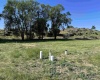 Byron Rd, Prosser, Washington 99350, 0 , 0 ,0,Land/lots,For Sale,Byron Rd,0,285876