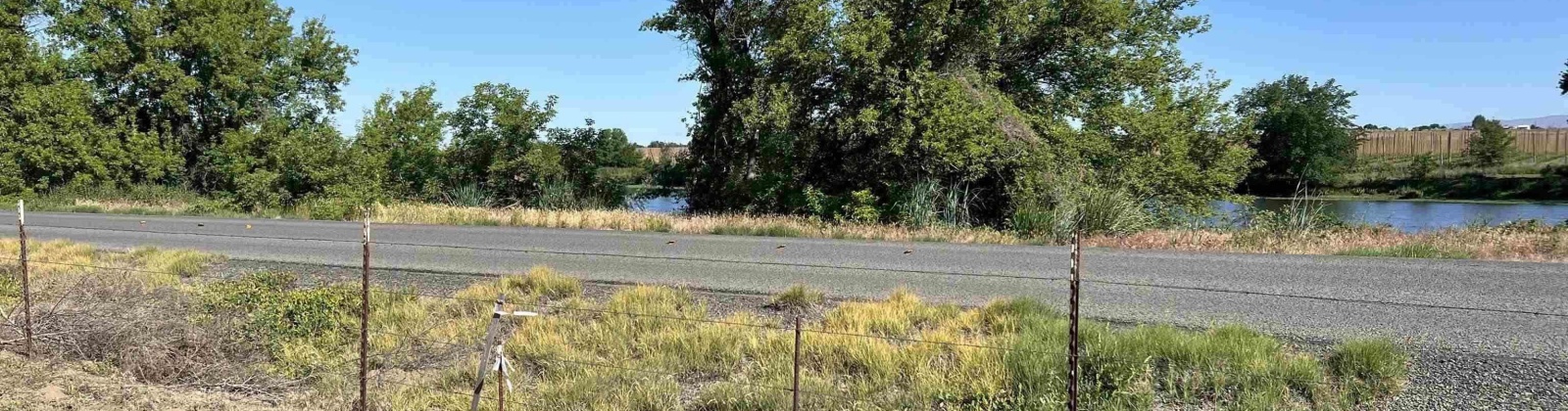 Byron Rd, Prosser, Washington 99350, 0 , 0 ,0,Land/lots,For Sale,Byron Rd,0,285876