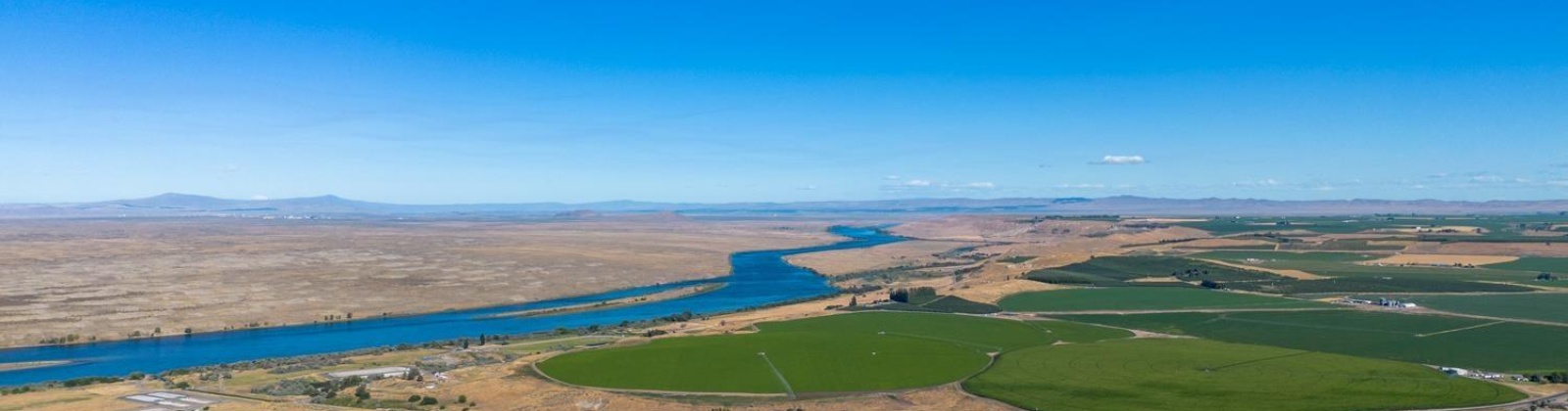 Ringold Road, Eltopia, Washington 99330, ,Houses,For Sale,Ringold Road,285872
