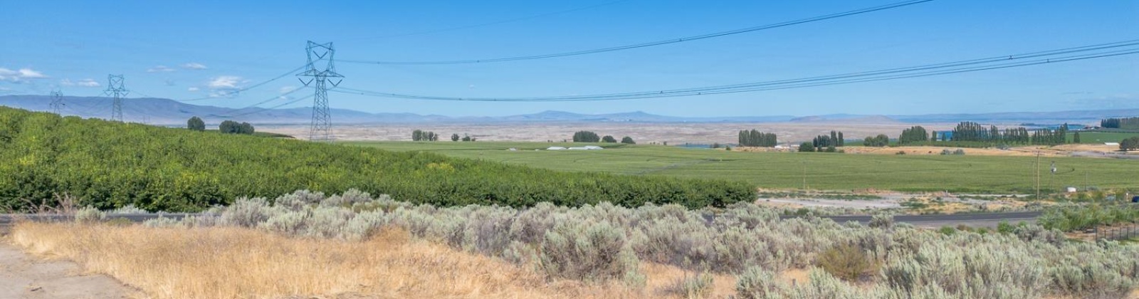 Ringold Road, Eltopia, Washington 99330, ,Houses,For Sale,Ringold Road,285872