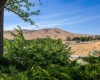 Demoss Rd, Benton City, Washington 99320, 3 Bedrooms Bedrooms, ,3 BathroomsBathrooms,For Sale,Demoss Rd,285894