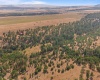 Big Springs Rd, Goldendale, Washington 98960, ,1 BathroomBathrooms,For Sale,Big Springs Rd,285975
