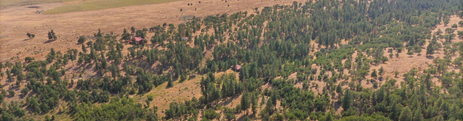 Big Springs Rd, Goldendale, Washington 98960, ,1 BathroomBathrooms,For Sale,Big Springs Rd,285975
