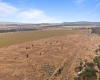 Big Springs Rd, Goldendale, Washington 98960, ,1 BathroomBathrooms,For Sale,Big Springs Rd,285975
