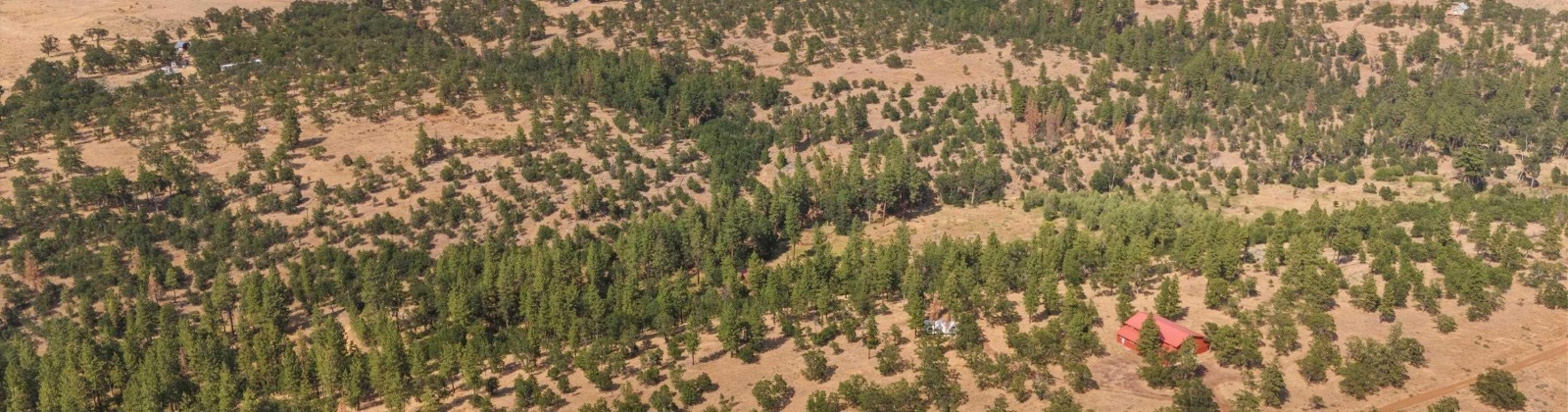 Big Springs Rd, Goldendale, Washington 98960, ,1 BathroomBathrooms,For Sale,Big Springs Rd,285975