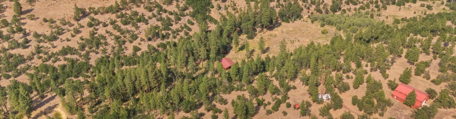 Big Springs Rd, Goldendale, Washington 98960, ,1 BathroomBathrooms,For Sale,Big Springs Rd,285975