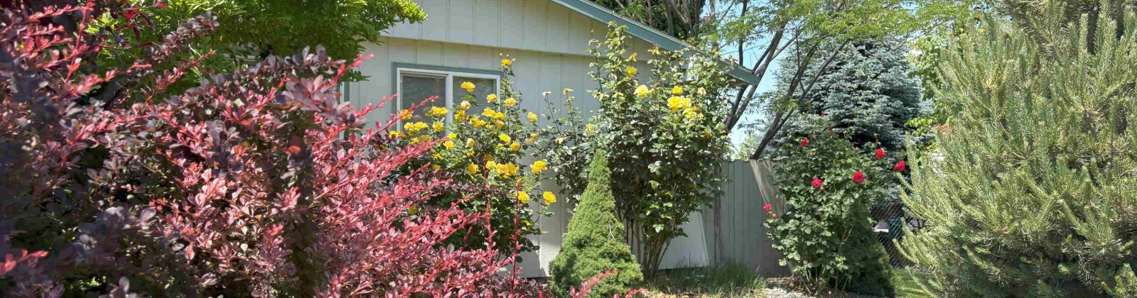 Garfield Street, Kennewick, Washington 99337, 4 Bedrooms Bedrooms, 0 ,3 BathroomsBathrooms,Houses,For Sale,Garfield Street,0,286000