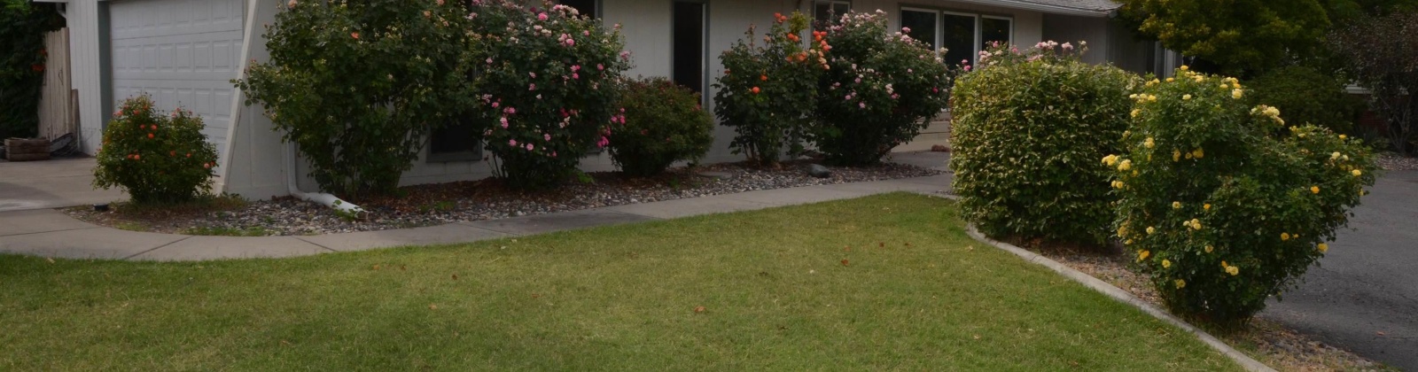 Garfield Street, Kennewick, Washington 99337, 4 Bedrooms Bedrooms, ,3 BathroomsBathrooms,For Sale,Garfield Street,286000