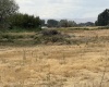 Patricia RD, Prosser, Washington 99350, ,Houses,For Sale,Patricia RD,286036