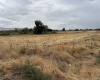 Patricia RD, Prosser, Washington 99350, ,Houses,For Sale,Patricia RD,286036