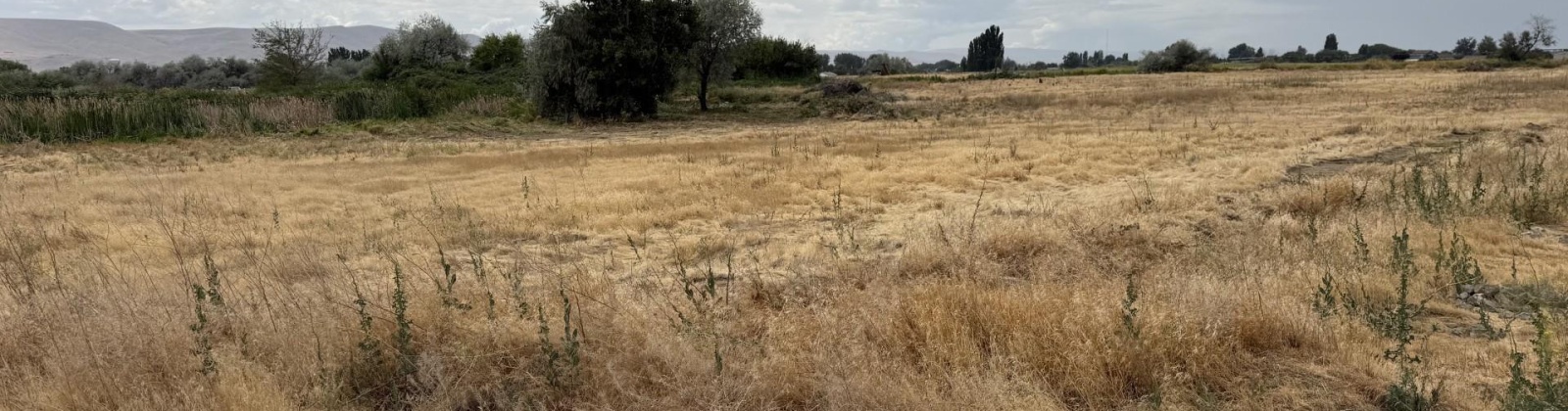 Patricia RD, Prosser, Washington 99350, ,Houses,For Sale,Patricia RD,286036
