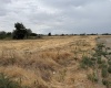 Patricia RD, Prosser, Washington 99350, ,Houses,For Sale,Patricia RD,286036