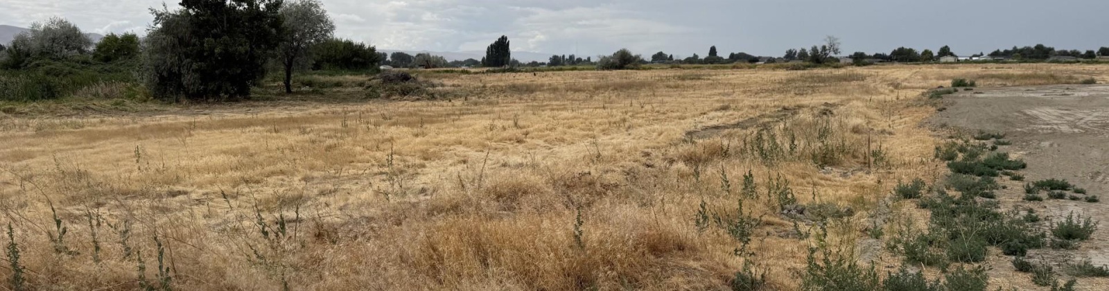 Patricia RD, Prosser, Washington 99350, ,Houses,For Sale,Patricia RD,286036