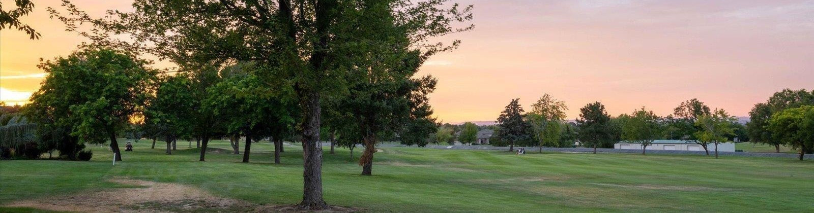 Irby St, Kennewick, Washington 99337-2456, 4 Bedrooms Bedrooms, ,3 BathroomsBathrooms,For Sale,Irby St,286028