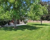 Chardonnay Dr, Pasco, Washington 99301, 3 Bedrooms Bedrooms, ,3 BathroomsBathrooms,For Sale,Chardonnay Dr,286072