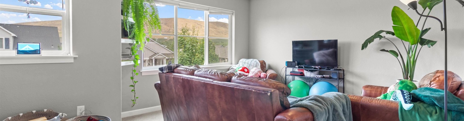 Corvina Street, Richland, Washington 99352-5710, 4 Bedrooms Bedrooms, 0 ,3 BathroomsBathrooms,Houses,For Sale,Corvina Street,0,286088