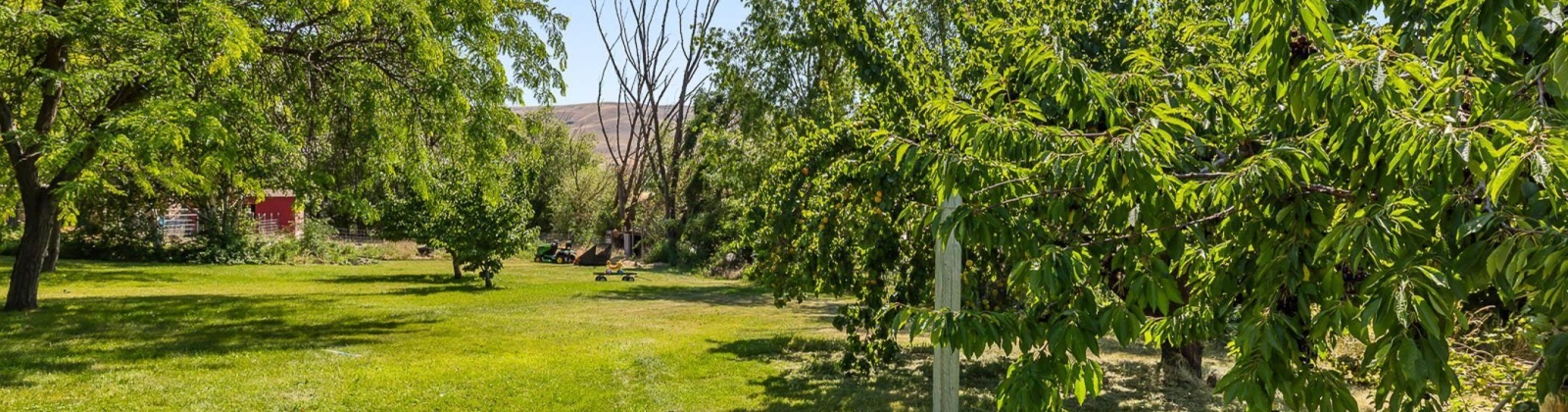 116 PRNW, Benton City, Washington 99320, 3 Bedrooms Bedrooms, ,2 BathroomsBathrooms,For Sale,116 PRNW,286107