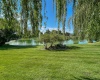 Eastlake Drive, West Richland, Washington 99353, 3 Bedrooms Bedrooms, ,3 BathroomsBathrooms,For Sale,Eastlake Drive,286122
