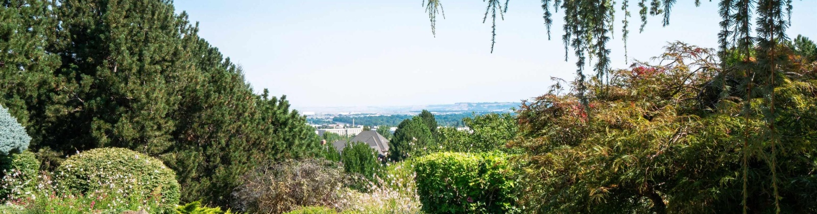 Quarterhorse Way, Richland, Washington 99352, 3 Bedrooms Bedrooms, 0 ,3 BathroomsBathrooms,Houses,For Sale,Quarterhorse Way,0,286145