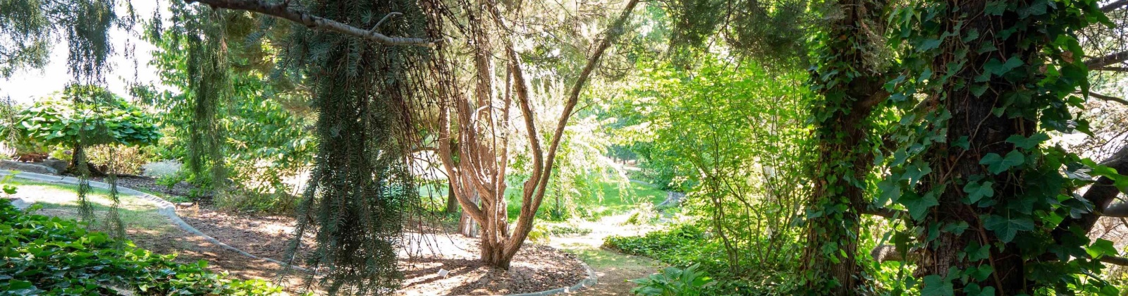 Quarterhorse Way, Richland, Washington 99352, 3 Bedrooms Bedrooms, 0 ,3 BathroomsBathrooms,Houses,For Sale,Quarterhorse Way,0,286145