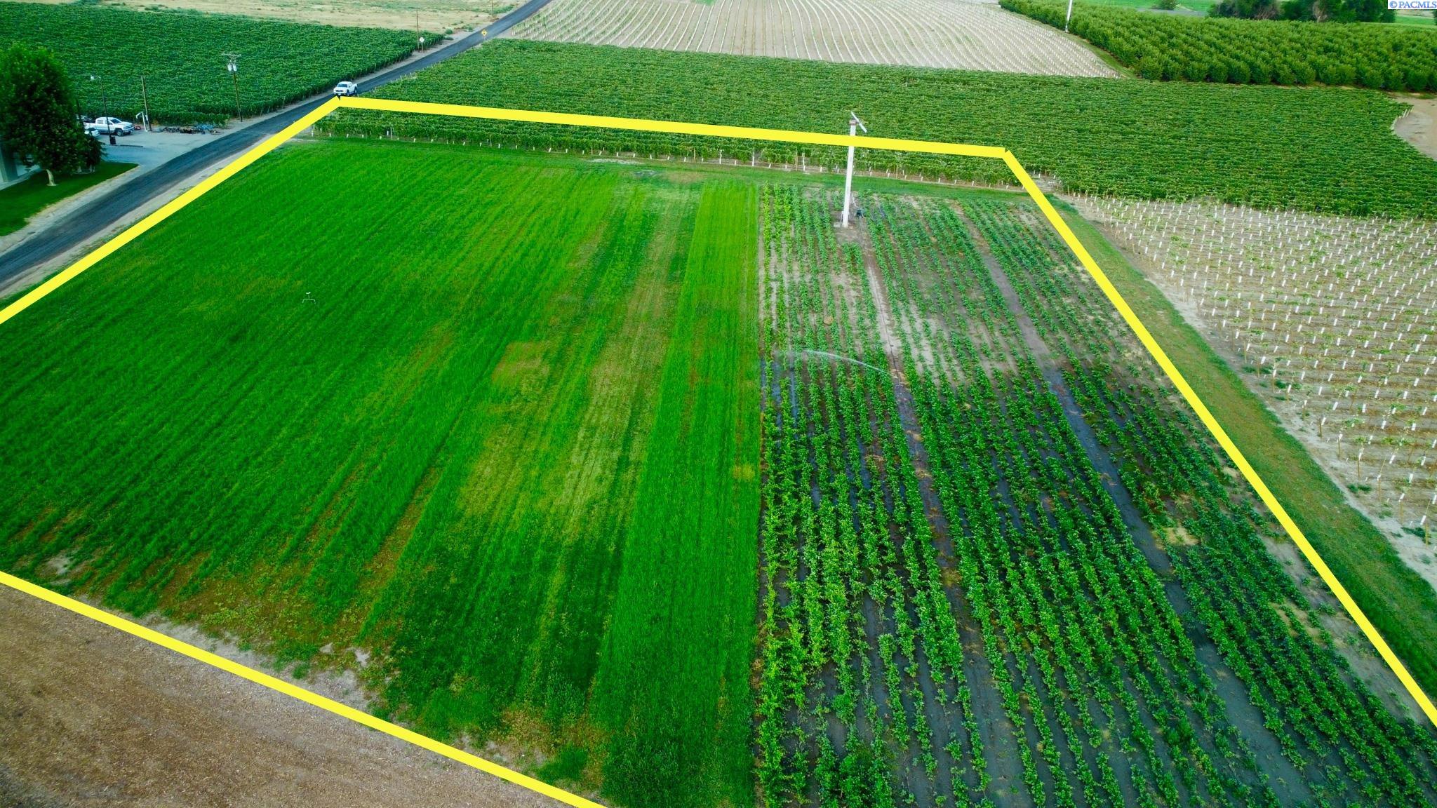 Sunnyside Canal, Zillah, Washington, 0 , 0 ,0,Agricultural Land,For Sale,Sunnyside Canal,0,286216