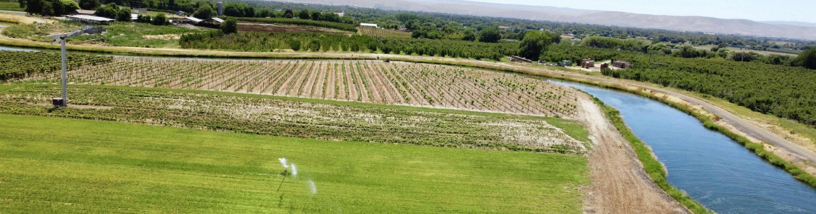 Sunnyside Canal, Zillah, Washington, ,Agricultural Land,For Sale,Sunnyside Canal,286216