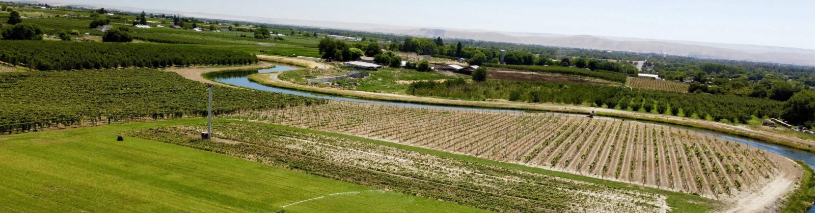 Sunnyside Canal, Zillah, Washington, ,Agricultural Land,For Sale,Sunnyside Canal,286216