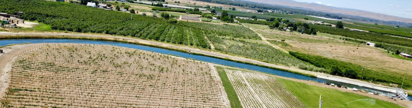 Sunnyside Canal, Zillah, Washington, ,Agricultural Land,For Sale,Sunnyside Canal,286216