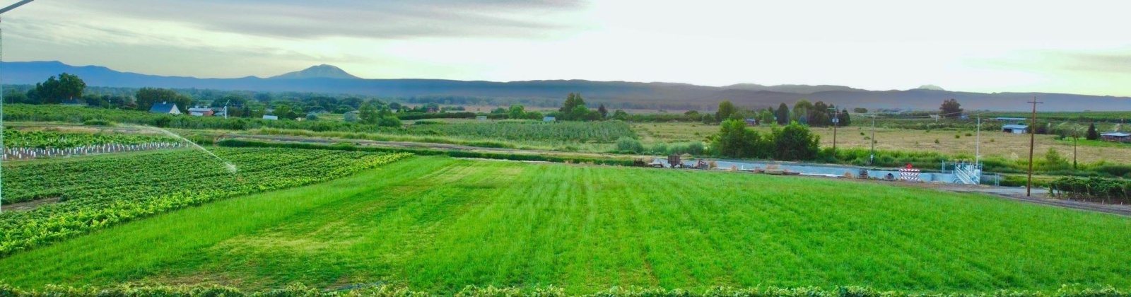 Sunnyside Canal, Zillah, Washington, 0 , 0 ,0,Agricultural Land,For Sale,Sunnyside Canal,0,286216