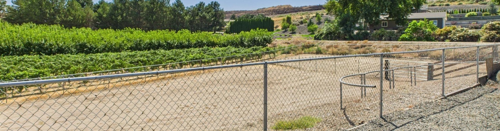 10th Ave, Kennewick, Washington 99336, 5 Bedrooms Bedrooms, 0 ,3 BathroomsBathrooms,Houses,For Sale,10th Ave,0,286244