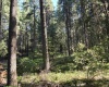 Hwy 410, Naches, Washington 98937, 0 , 0 ,1 BathroomBathrooms,Houses,For Sale,Hwy 410,0,286245
