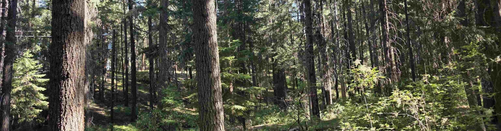 Hwy 410, Naches, Washington 98937, 0 , 0 ,1 BathroomBathrooms,Houses,For Sale,Hwy 410,0,286245