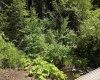 Hwy 410, Naches, Washington 98937, 0 , 0 ,1 BathroomBathrooms,Houses,For Sale,Hwy 410,0,286245